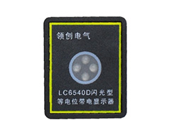 LC6540D閃光型等電位帶電顯示器(無源工作)